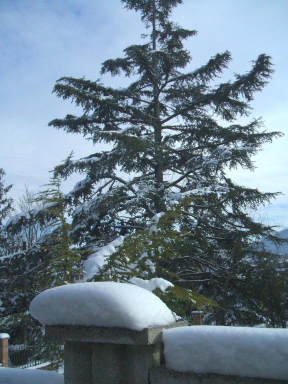Casa Giordano Bed and Breakfast Mombello Monferrato Εξωτερικό φωτογραφία